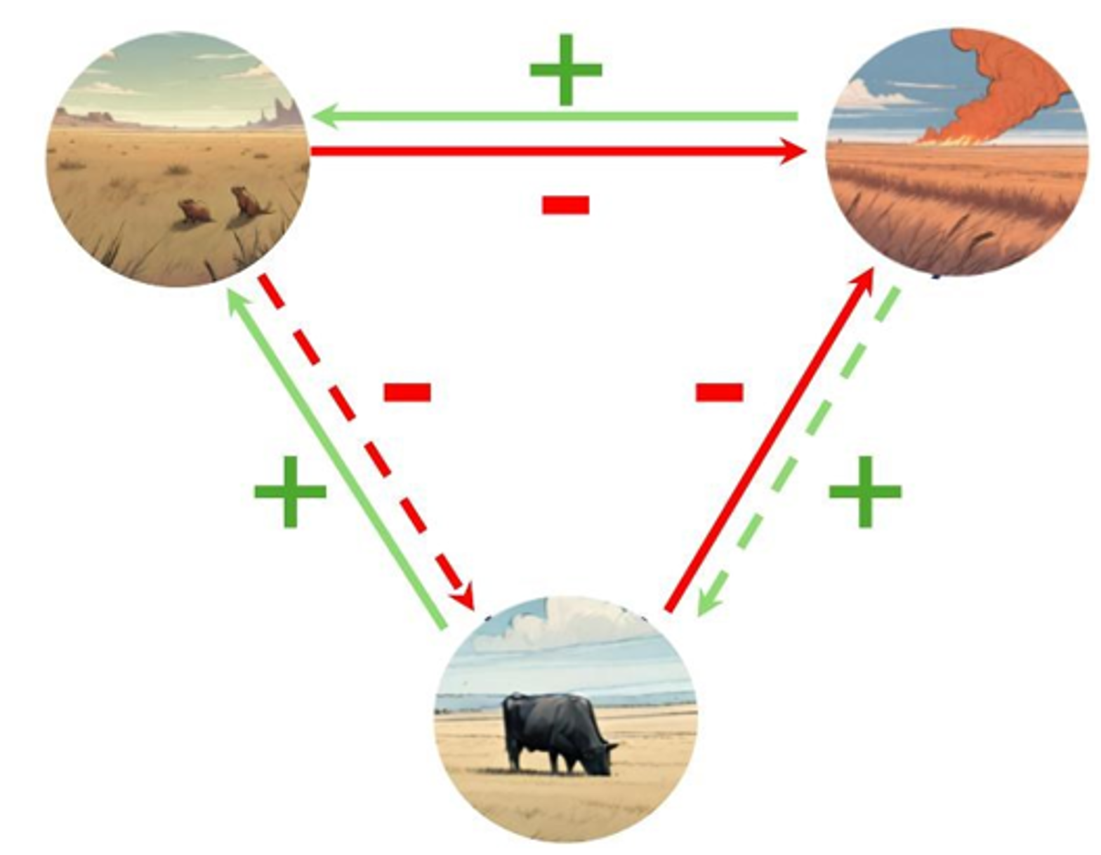 Disturbance triangle between fire grazing and prairie dogs