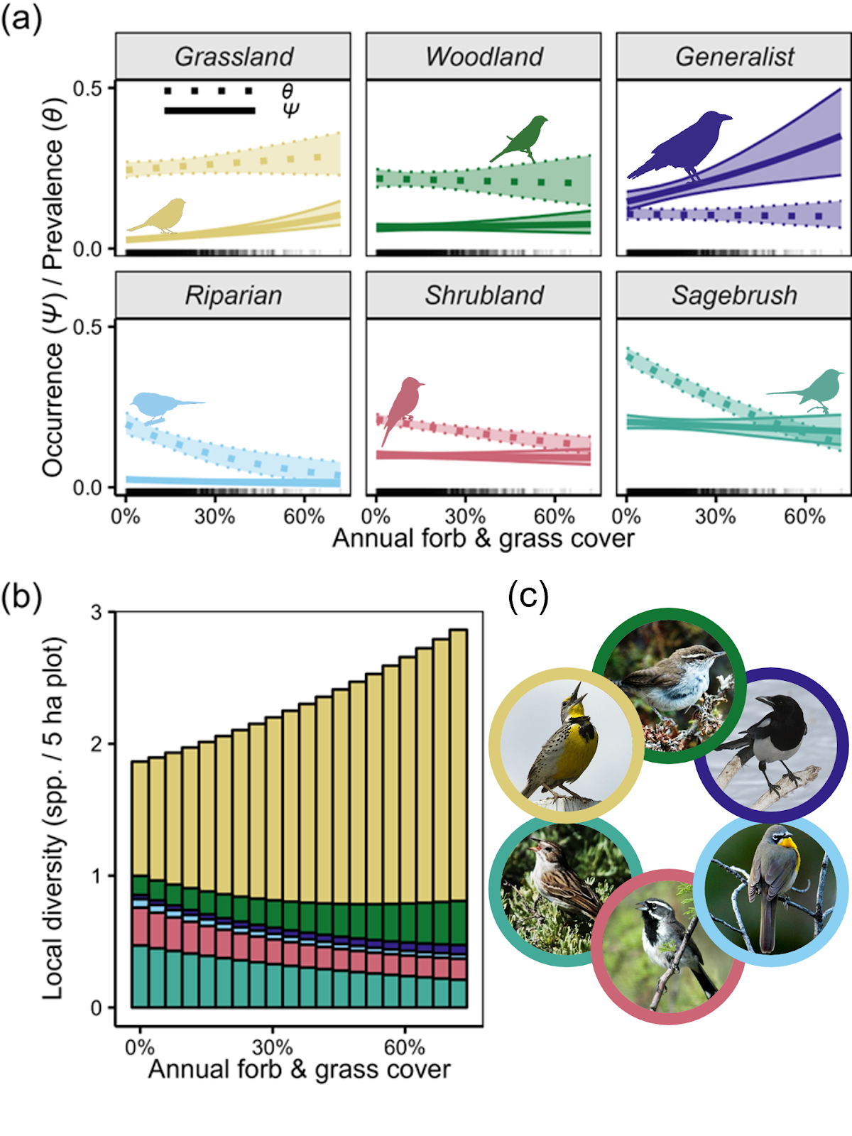 Effects of annual grasses on songbird communities